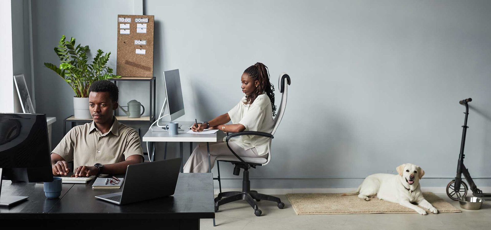 Microsoft 365: Por que é Mais do que Apenas o Office?