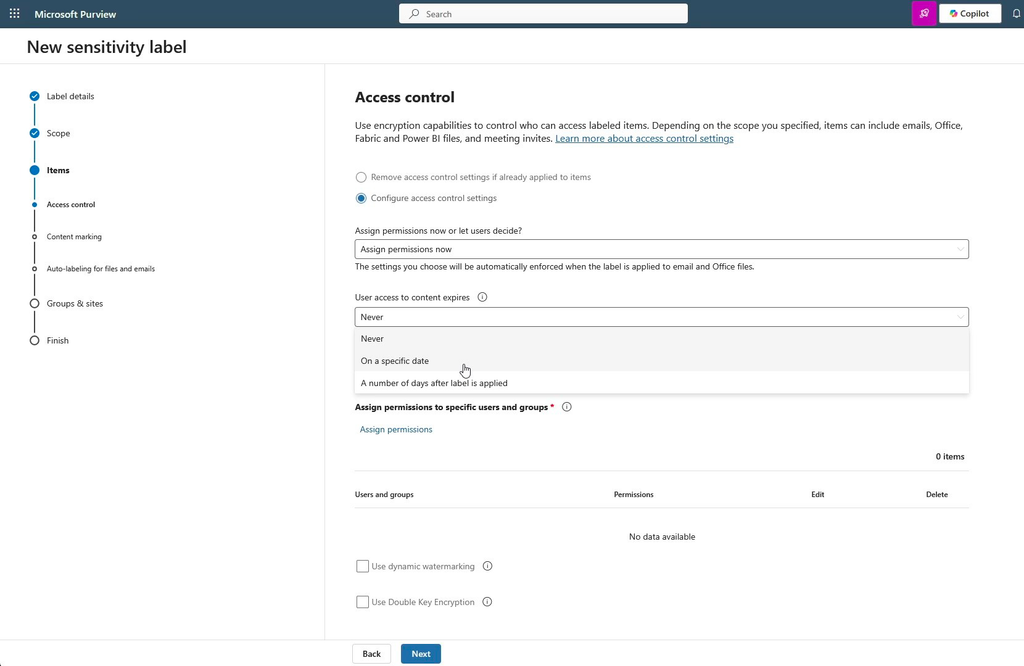 Figura 5. Access control configurado com Assign permissions now e as opções de expiração/acesso offline.