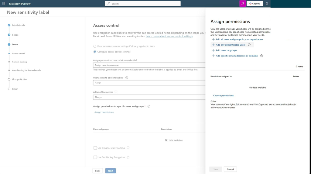 Figura 6. Painel Assign permissions com as opções de destinatários e o conjunto de direitos Editor.