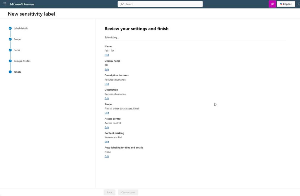 Figura 3. Review final: o escopo confirmado é Files & other data assets e Email, sem Groups & sites.